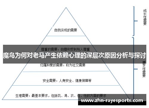 魔鸟为何对老马产生依赖心理的深层次原因分析与探讨